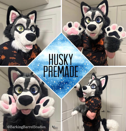 Anthrocon 2026 Husky Premade Anthrocon 2026 Husky Premade